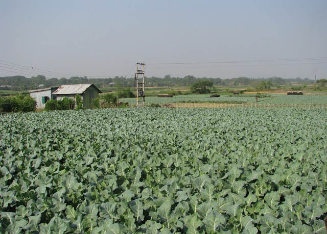 Image of Agricultural 2